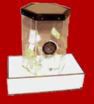 /album/equipamiento/ciclon-sobremesa3-copy-jpg/